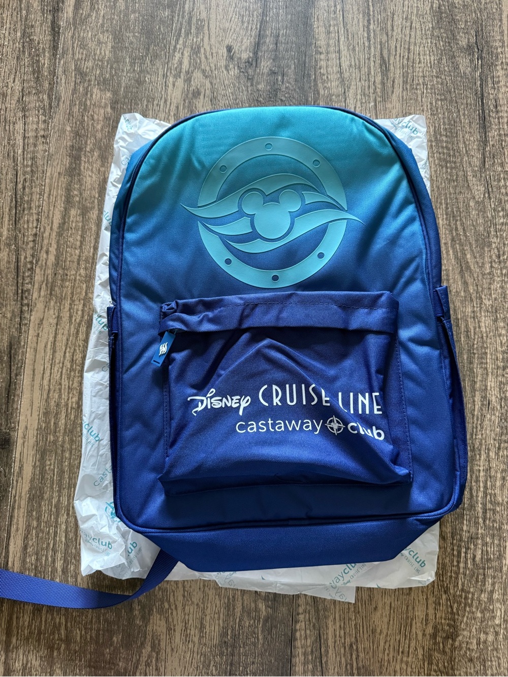 Disney Cruise Line Castaway Club Backpack